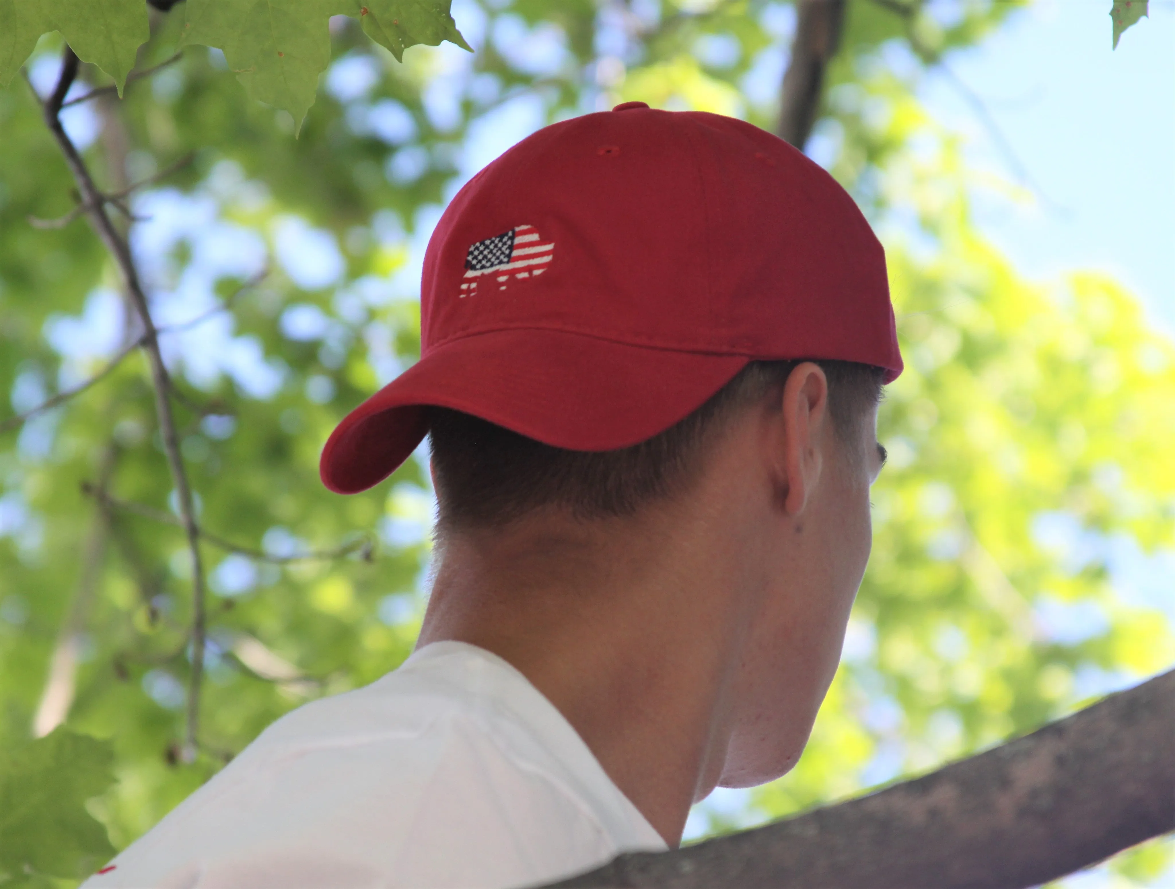 BFLO American Flag Hat