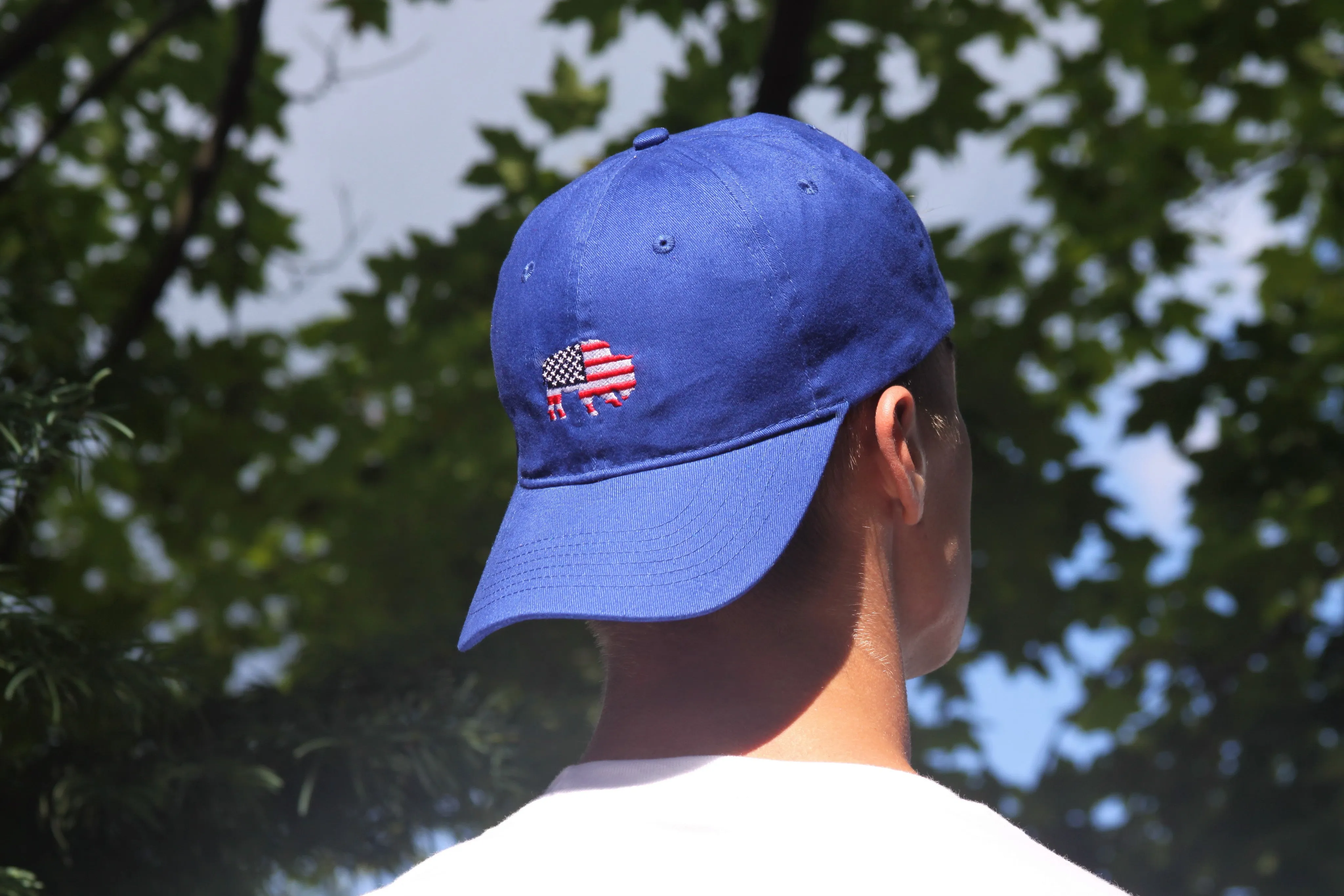 BFLO American Flag Hat