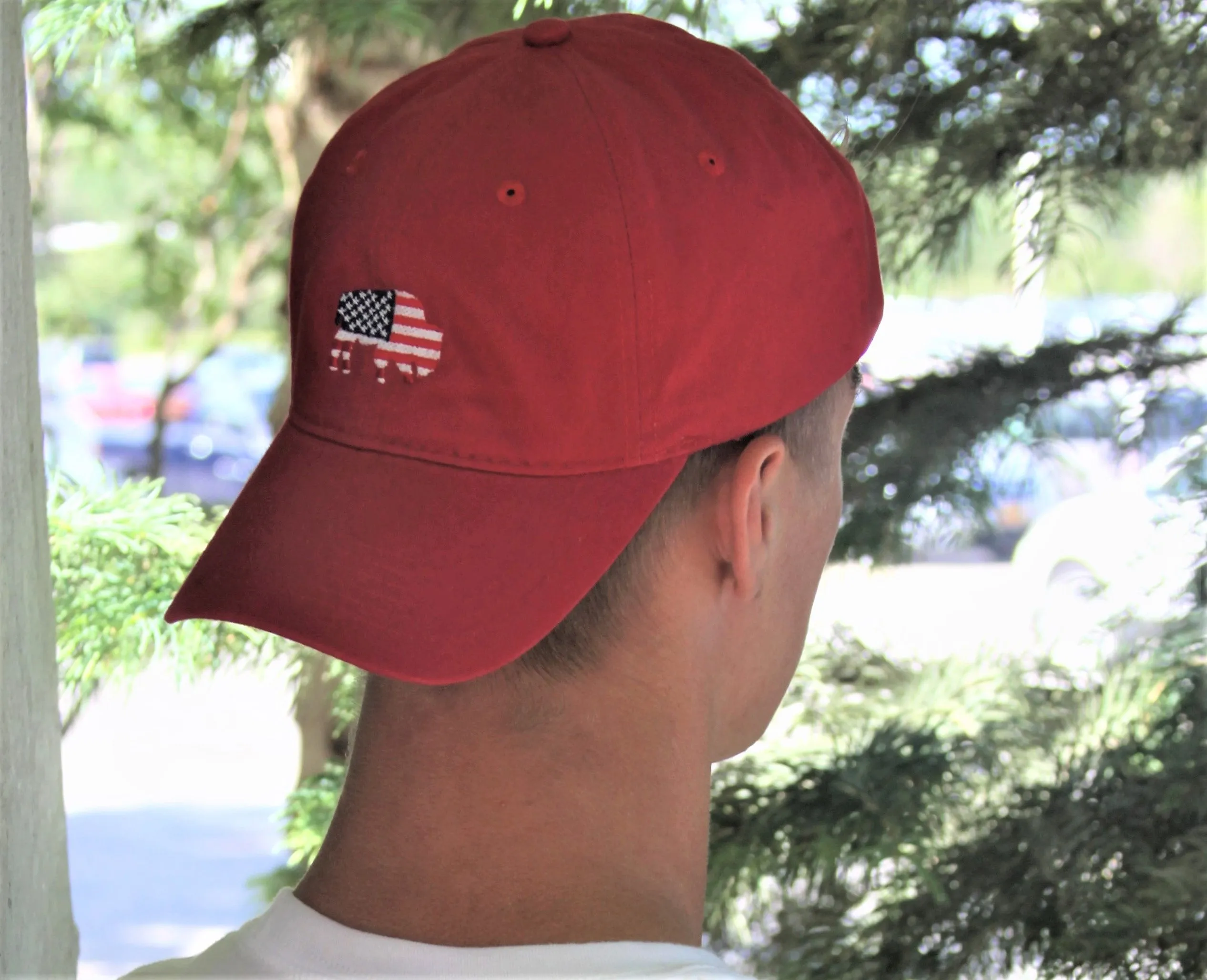 BFLO American Flag Hat