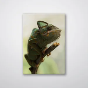 Climbing Chameleon - Print