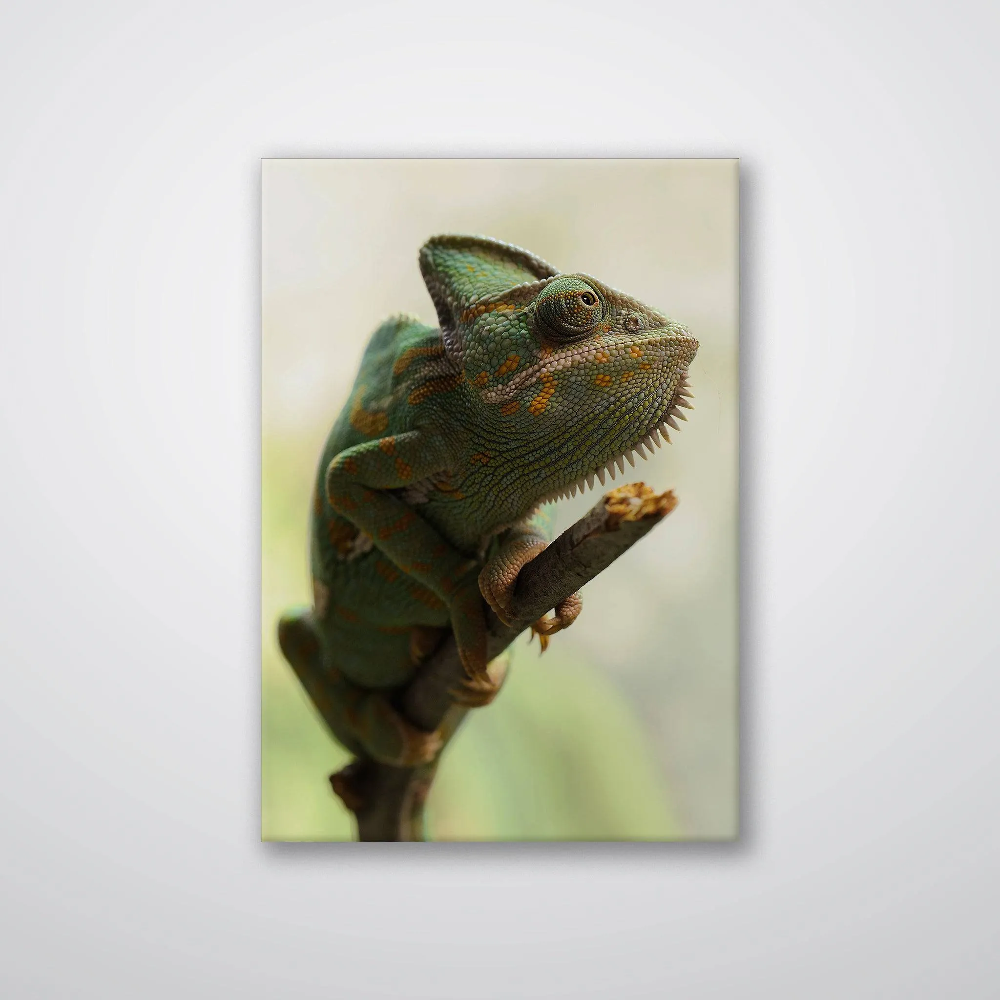 Climbing Chameleon - Print