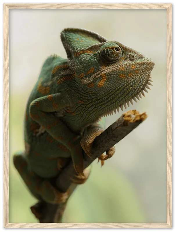 Climbing Chameleon - Print