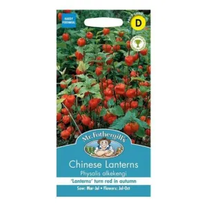 Mr Fothergill's Chinese Lanterns Seeds